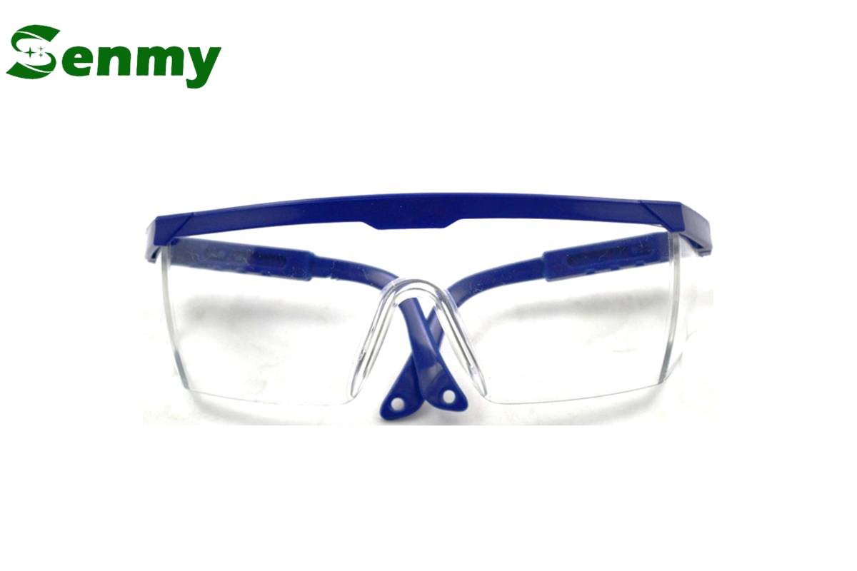 E501 Protective Glasses