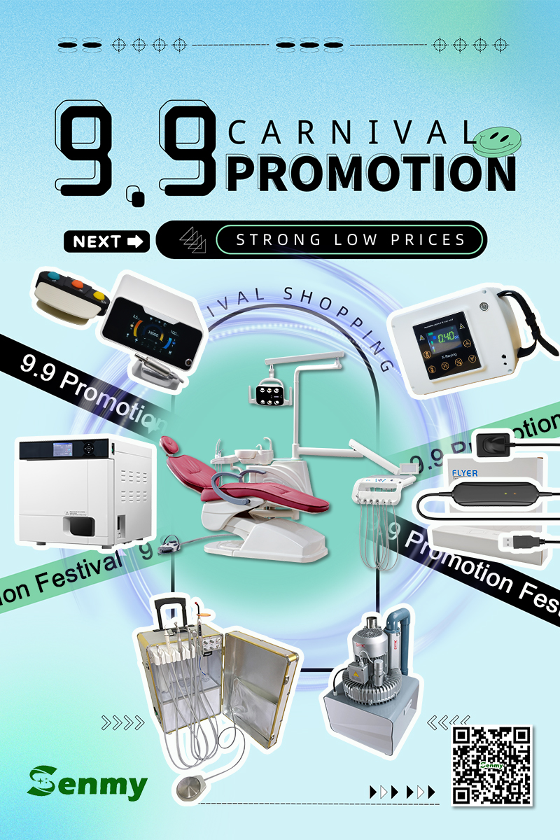 9.9 promotion festival