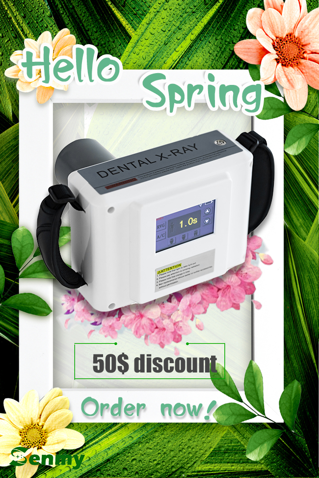 Spring Offer